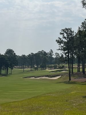 Pinehurst No. 4