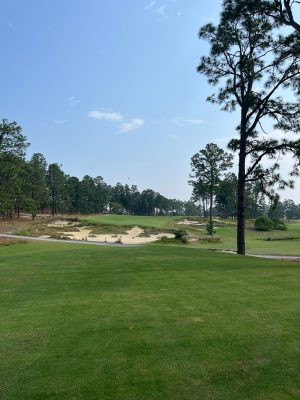 Pinehurst No. 4