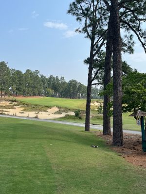 Pinehurst No. 4