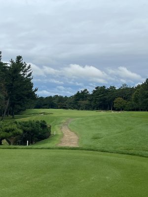 Hirono