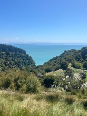 Cape Kidnappers