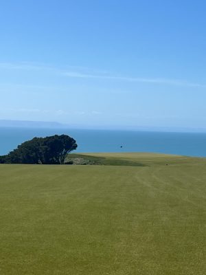 Cape Kidnappers