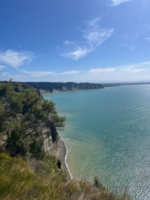Cape Kidnappers