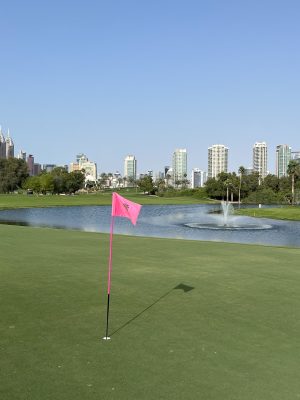 Emirates - Majlis course
