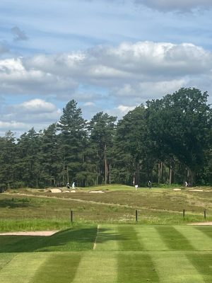 The Berkshire