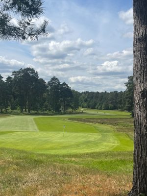 The Berkshire